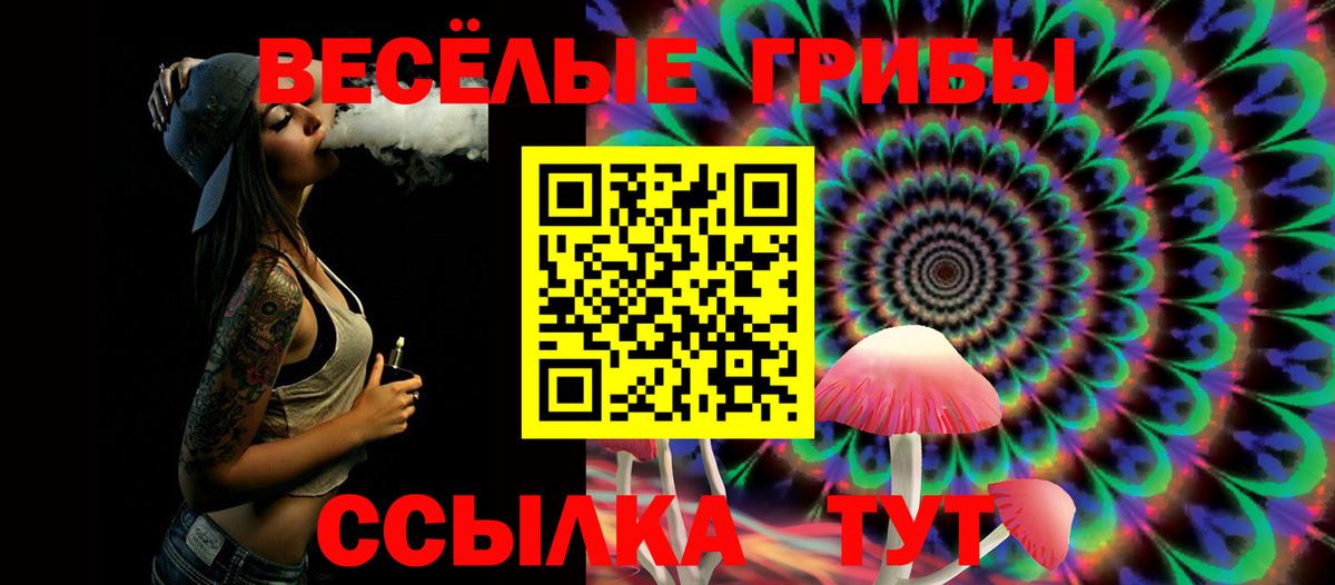 Псилоцибиновые грибы Psilocybe  даркнет сайт  Кизилюрт  Вход с VPN 